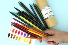 a person holding a bunch of different colored pencils