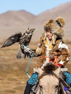 a person on a horse with an owl