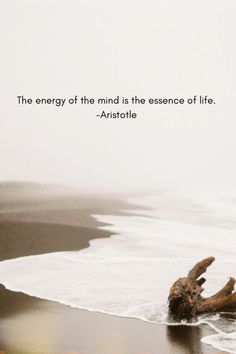 the energy of the mind is the essence of life - ariotie quote on beach