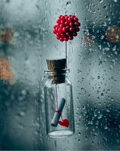 a glass bottle with some red berries in it hanging from the side of a window