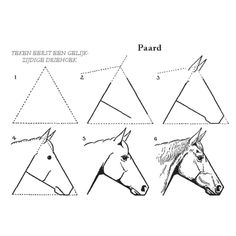 the instructions for how to draw horses'heads in three different ways, each with their own head