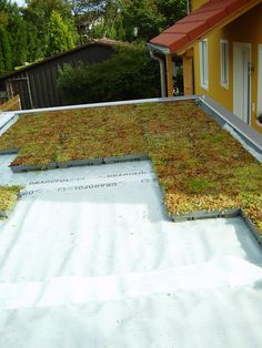 a green roof with grass growing on it