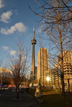 a view of the cn tower in toronto, canada from across the park at dusk