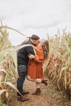 an engaged couple kissing in the middle of a corn field