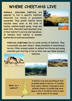 a poster with pictures of animals and other things to see in the wild, including mountains