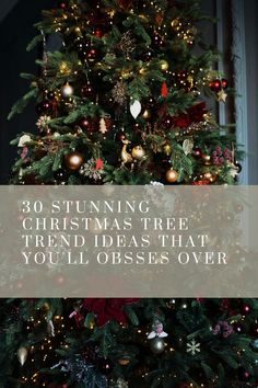 See more here: https://byannabellerose.com/30-stunning-christmas-tree-trend-ideas-that-youll-obsess-over/ Here are 30 stunning Christmas tree trend ideas for 2021 that you will be obsessed with! Christmas Tree Themes Traditional, Best Christmas Ornaments, Modern Traditional Christmas Tree, Christmas Tree Ideas Classic, Stunning Christmas Trees, All Christmas Trees, Real Christmas Tree Decorations, Thanksgiving Christmas Tree Ideas, Tree Inspo Christmas