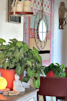 there is a potted plant on the table in front of two chairs and a mirror