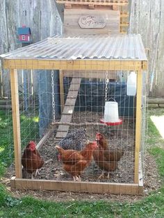 three chickens in a chicken coop on the grass