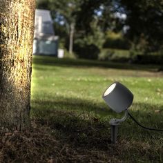 a lamp is plugged into a tree in the grass