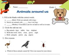 animals around us worksheet for kids with pictures and words to help them understand what they are