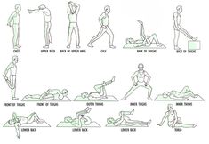 an exercise chart showing how to do the same exercises for each individual's body