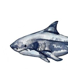 a watercolor painting of a shark on a white background with black and gray accents