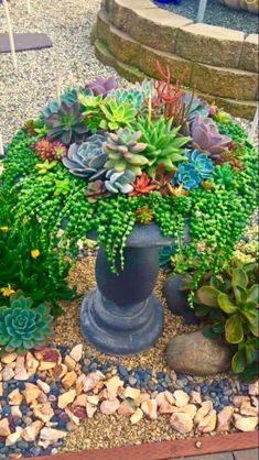 an arrangement of succulents and rocks in a garden