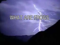 the words what are frogs written in front of a dark background with lightning striking over mountains