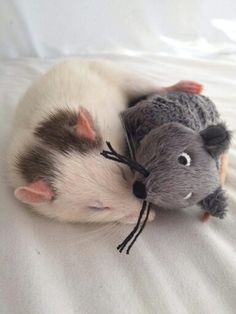 a stuffed animal rat laying on top of a white bed next to a toy mouse