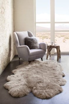 a living room filled with furniture and a large rug