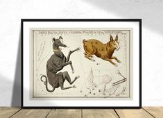 an animal and its surroundings are depicted in this framed art print, which is mounted on the wall