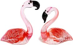 two pink flamingos standing next to each other