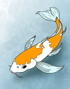 an orange and white koi fish swimming