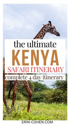 the ultimate kenya safari itinerary complete 4 day itiner