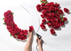 someone is cutting roses with scissors on a white surface and red flowers are arranged in the shape of a letter o