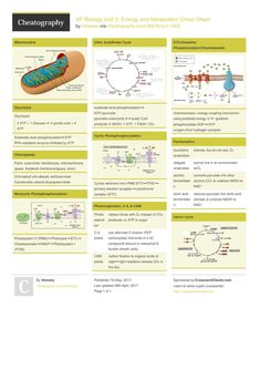 an image of a poster with information about the structure and function of food in humans