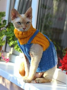 a cat wearing a sweater sitting on a window sill in front of a potted plant