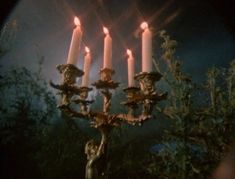 a candelabra with five candles lit in the middle of it, surrounded by greenery