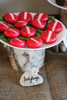 red ladybugs are sitting on top of a white cake plate with flowers in it