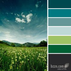 a field full of green grass under a blue sky with clouds in the background and below it is a color swatch