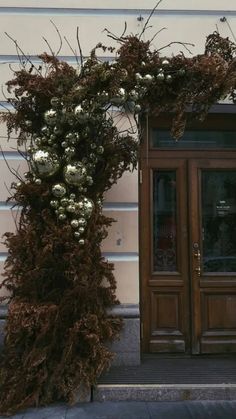 a tall plant with white flowers is in front of a door and window on the side of a building