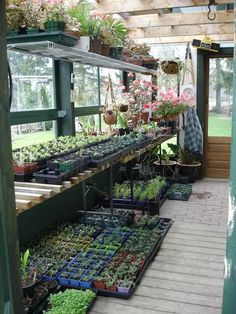 a greenhouse filled with lots of plants and potted plants on shelves next to each other