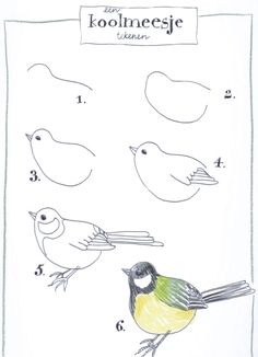 a drawing of birds with numbers on them