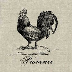 a black and white drawing of a rooster with the words pronece written on it