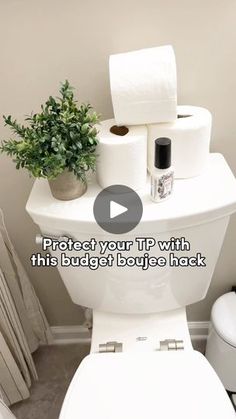 a white toilet sitting in a bathroom next to a plant and rolls of toilet paper