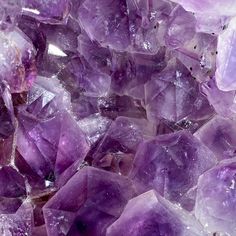 Holistic Shop, Crystal Store, Purple Vibe, Lavender Aesthetic, Dark Purple Aesthetic, Crystal Aesthetic, Purple Themes, Purple Walls, Crystals For Sale