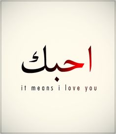 an arabic calligraphy with the words it means i love you in red and black