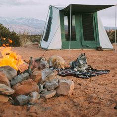 two dogs laying next to a campfire with a tent in the background