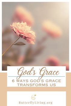 a pink flower with the words god's grace 6 ways god's grace transforms us