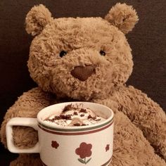 a teddy bear holding a cup of hot chocolate