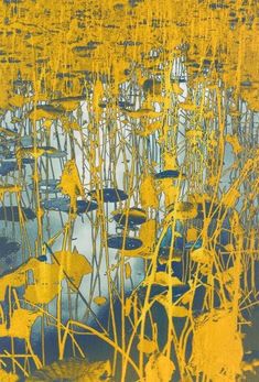 an image of water and plants with yellow stems in it's reflection on the surface