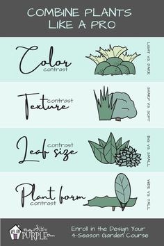 four different types of plants that are labeled in the same font and numbers on each side