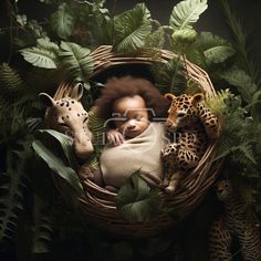 a baby in a basket surrounded by jungle plants and stuffed animal giraffes