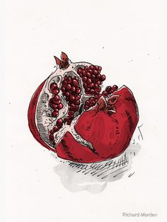 a drawing of a pomegranate on top of a piece of fruit with leaves