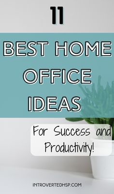 a plant in a white pot with the title 11 best home office ideas for success and productivity