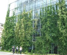 some people are walking in front of a building with many plants growing on the side