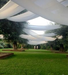 an outdoor area with grass, trees and white fabric draped over the top of it