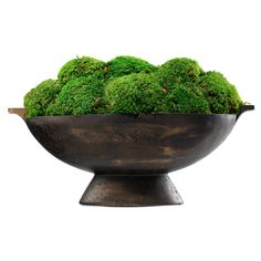 a bowl filled with green moss sitting on top of a table