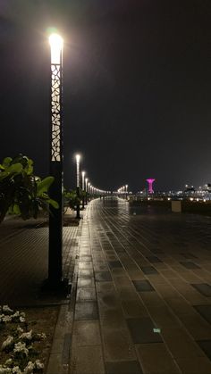 an empty street at night with lights on and flowers in the ground next to it