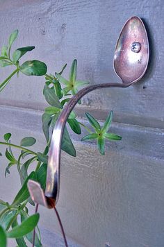 a metal spoon hanging from the side of a wall next to a plant with green leaves